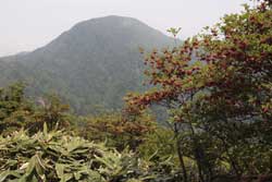 鶏頂山