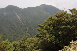 鶏頂山
