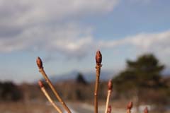剣ヶ峰