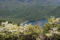 社山・黒檜岳