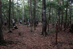 社山・黒檜岳