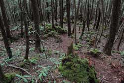 社山・黒檜岳