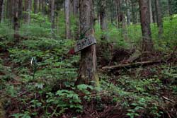 百村山