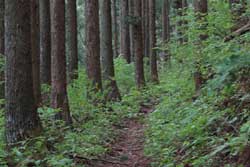 百村山