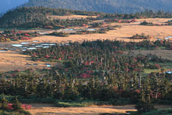 苗場山