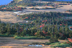 苗場山