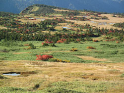 苗場山