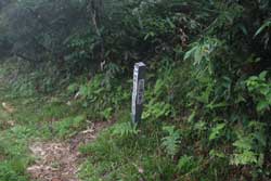 鬼が面山