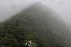 鬼が面山