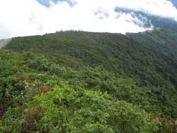 鬼が面山
