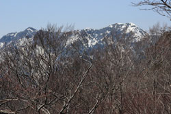 芝草山