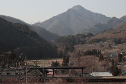 芝草山