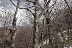 塩沢山