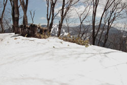 塩沢山