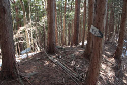 塩沢山