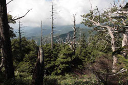 太郎山