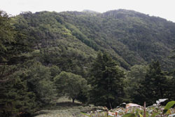 太郎山