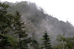 太郎山