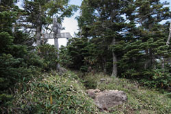 太郎山