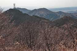 弥彦山