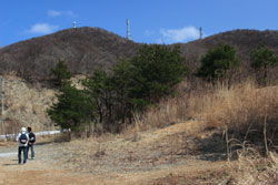 弥彦山