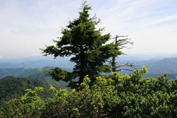 会津朝日岳