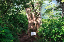 会津朝日岳