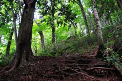 二岐山