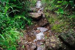 二岐山
