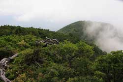 二岐山