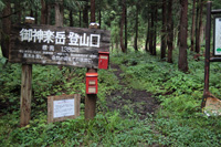 本名御神楽