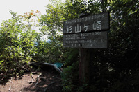 本名御神楽