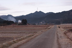 鳴蟲山
