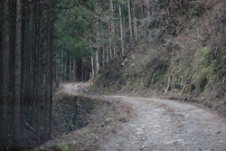 鳴蟲山