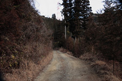 鳴蟲山