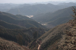 鳴蟲山