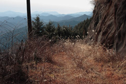 鳴蟲山
