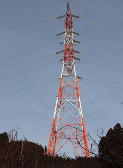 鳴蟲山