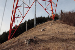 鳴蟲山