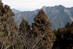 鳴蟲山