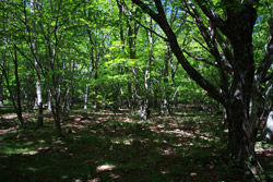 大入道・剣ヶ峰