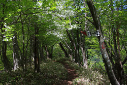 大入道・剣ヶ峰