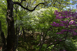 大入道・剣ヶ峰