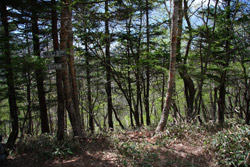 大入道・剣ヶ峰