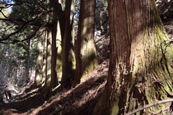 熊鷹山・丸岩岳