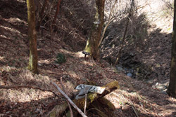 熊鷹山・丸岩岳