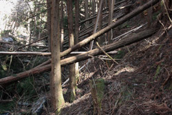熊鷹山・丸岩岳