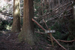 熊鷹山・丸岩岳