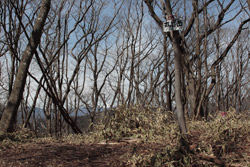 熊鷹山・丸岩岳