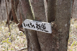 熊鷹山・丸岩岳